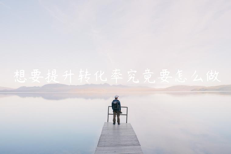 想要提升轉(zhuǎn)化率究竟要怎么做